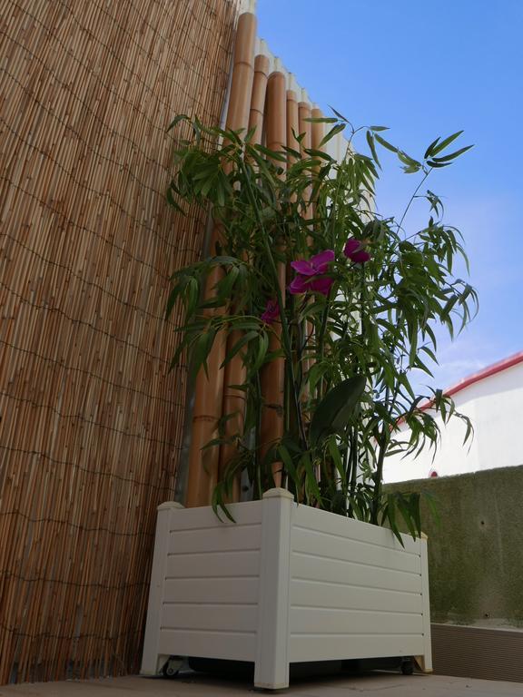 Casa Do Cabeta Villa Nazare Exterior photo